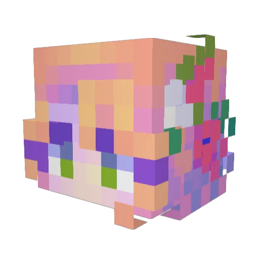 Tor252 Minecraft avatar head, 3D render