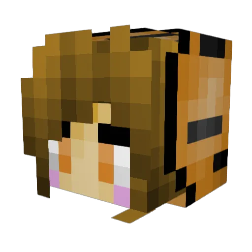ToraNeko24 Minecraft avatar head, 3D render