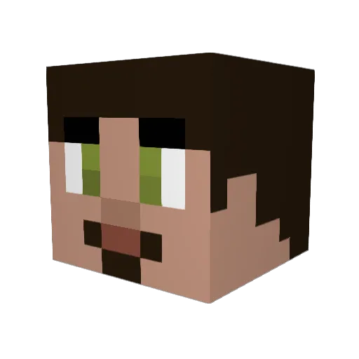 Torabi Minecraft avatar head, 3D render