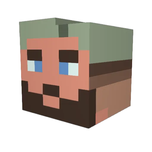 Torak1905 Minecraft avatar head, 3D render
