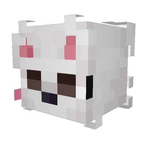 Torak54 Minecraft avatar head, 3D render