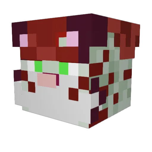 TorakiTiggy Minecraft avatar head, 3D render
