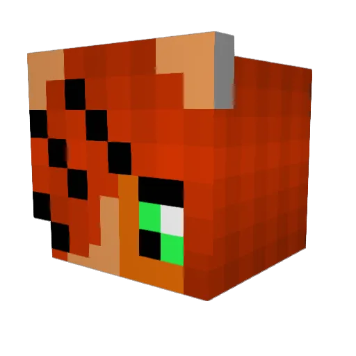 ToraleyMC Minecraft avatar head, 3D render