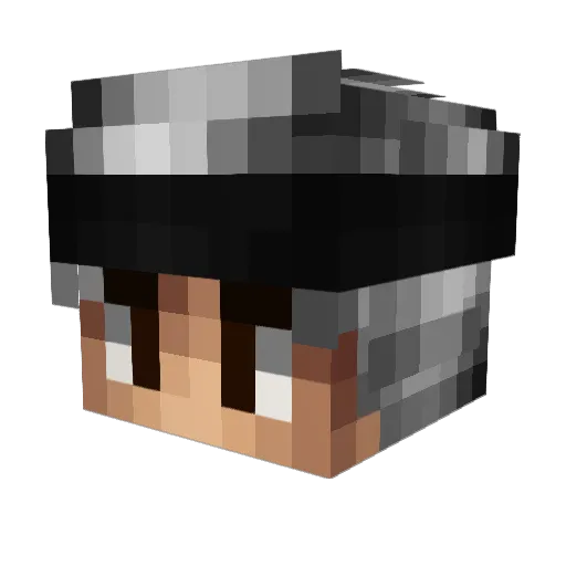 Toray Minecraft avatar head, 3D render