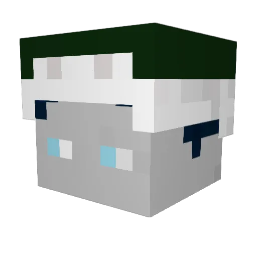 Torbinatrix Minecraft avatar head, 3D render