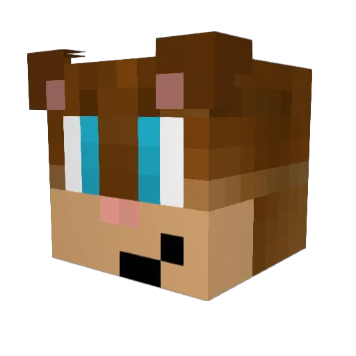 TorchedCookie Minecraft avatar head, 3D render