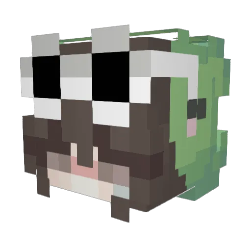 Torchick100o Minecraft avatar head, 3D render