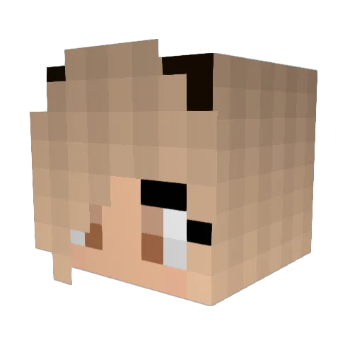 Torchick6 Minecraft avatar head, 3D render