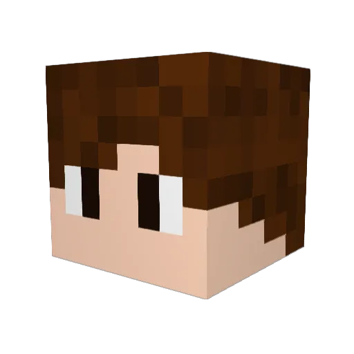Torchwood63 Minecraft avatar head, 3D render