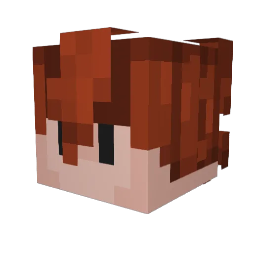 TordCookie Minecraft avatar head, 3D render