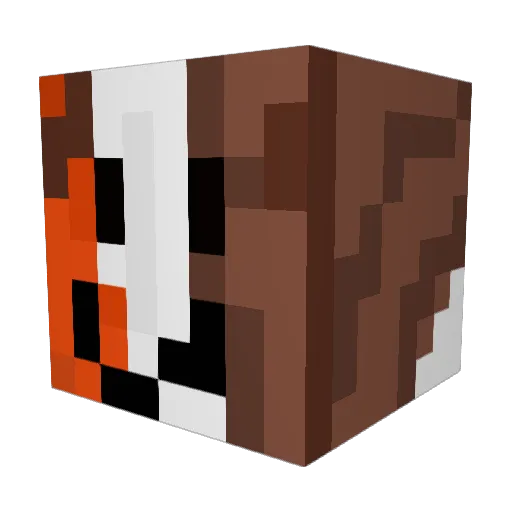 Torden2009 Minecraft avatar head, 3D render