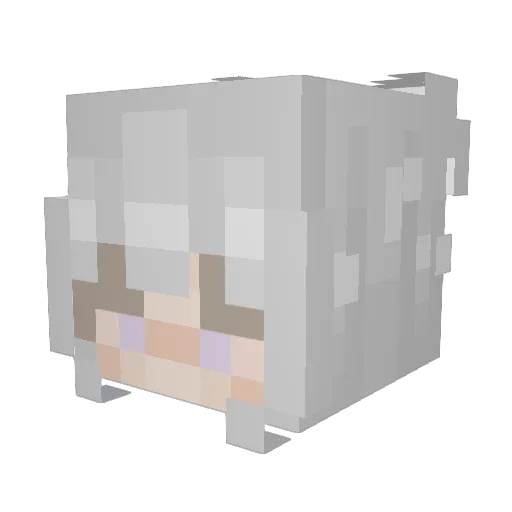 Torekii Minecraft avatar head, 3D render