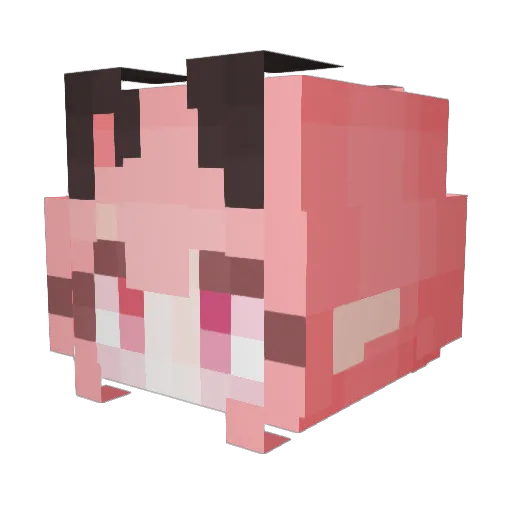 Toreru Minecraft avatar head, 3D render