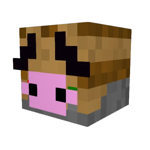 Toreutter Minecraft avatar head, 3D render