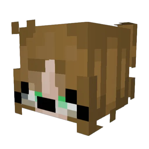 Torgee_863 Minecraft avatar head, 3D render