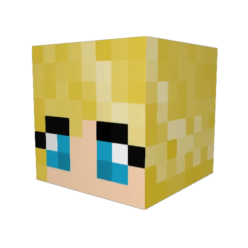 TorgorBash Minecraft avatar head, 3D render
