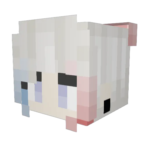 Tori1552 Minecraft avatar head, 3D render