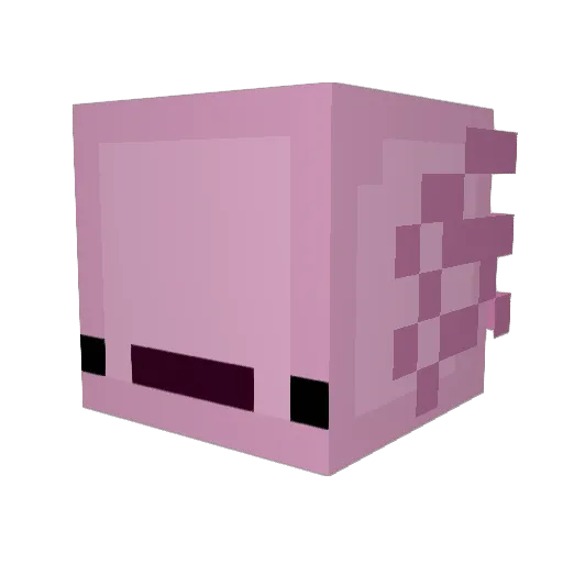 ToriBu Minecraft avatar head, 3D render
