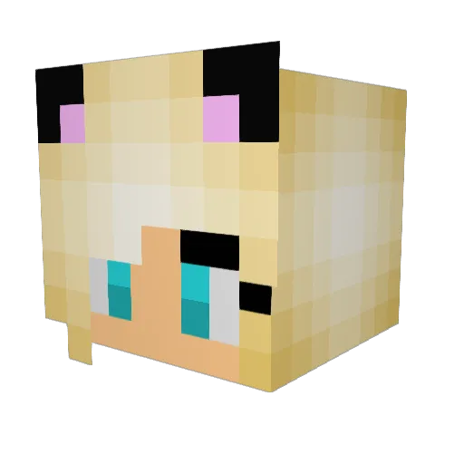 ToriDoesMC Minecraft avatar head, 3D render