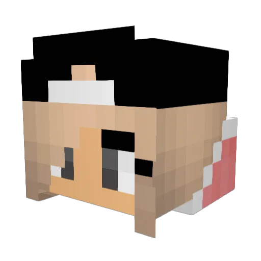 ToriHeflin Minecraft avatar head, 3D render