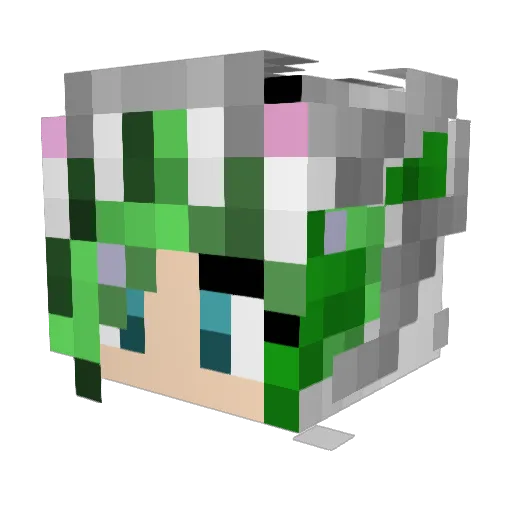ToriPie314 Minecraft avatar head, 3D render