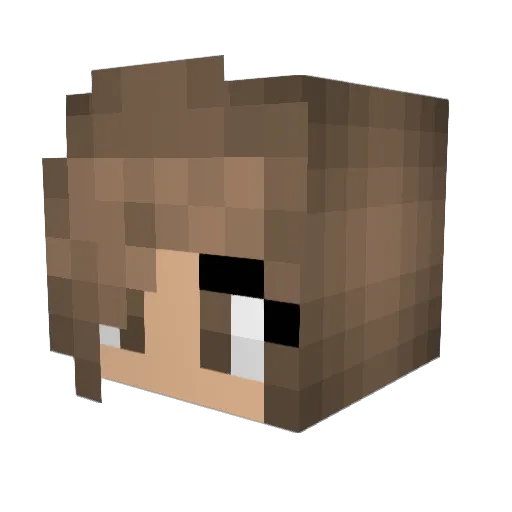 ToriTheMessican Minecraft avatar head, 3D render