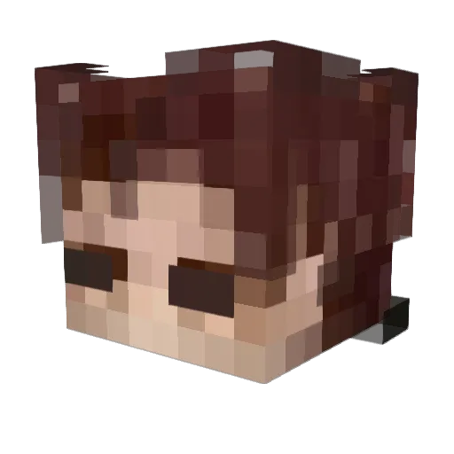 ToriaChanz Minecraft avatar head, 3D render