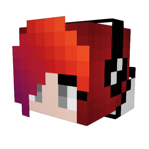 Torii98 Minecraft avatar head, 3D render