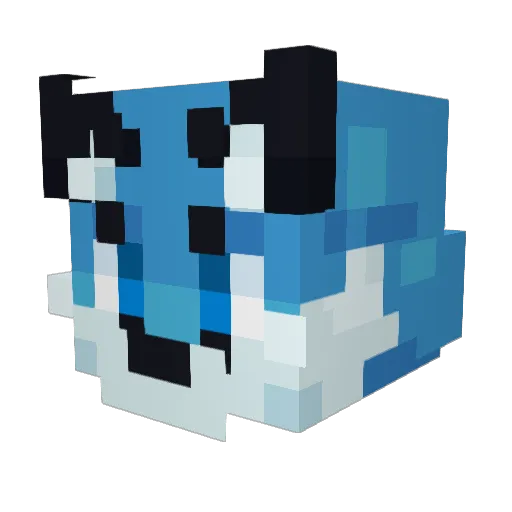 Torin2665 Minecraft avatar head, 3D render