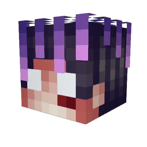 Toripo Minecraft avatar head, 3D render