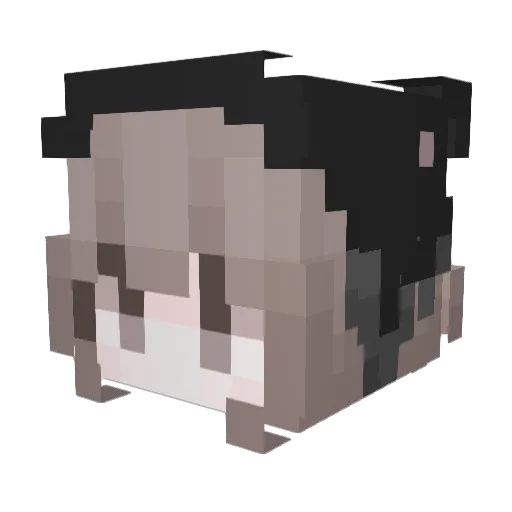 Torisanpoppo Minecraft avatar head, 3D render
