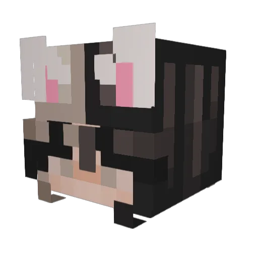 Torix4 Minecraft avatar head, 3D render