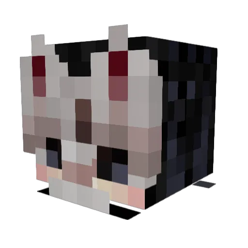 Torixsoul Minecraft avatar head, 3D render