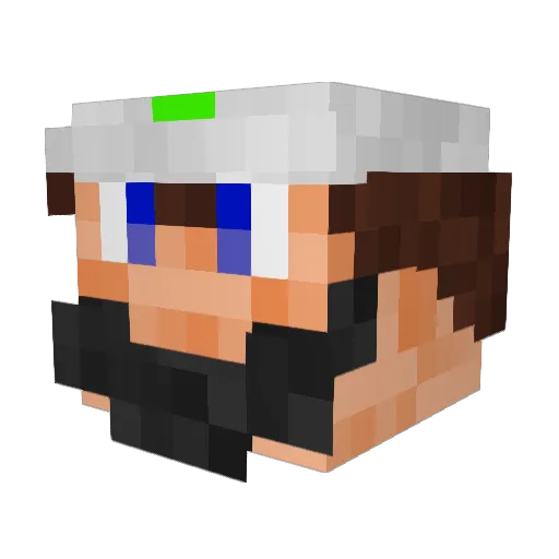 Torizoo Minecraft avatar head, 3D render