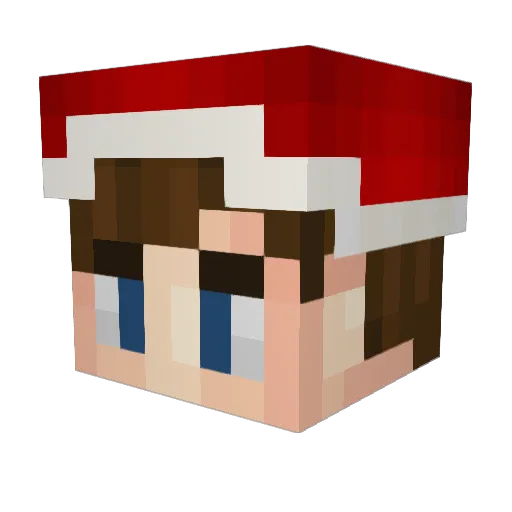 Torksi Minecraft avatar head, 3D render