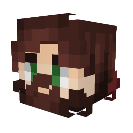 TormentedToffee Minecraft avatar head, 3D render