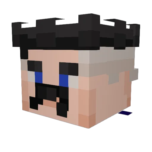 TornaGC Minecraft avatar head, 3D render