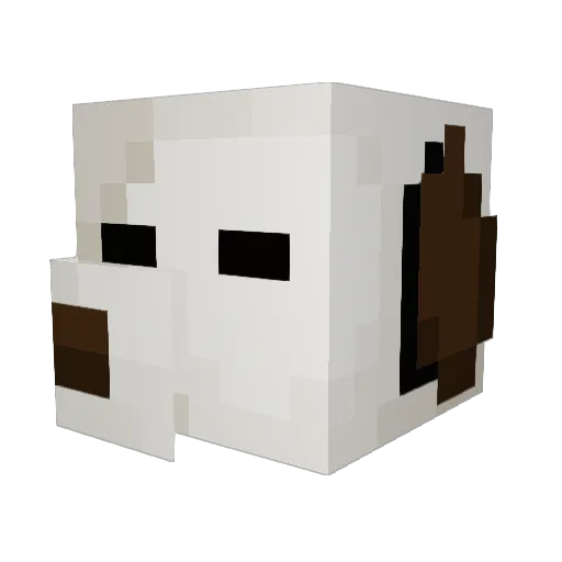 TornadeLeNoir Minecraft avatar head, 3D render