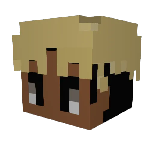 Tornado00 Minecraft avatar head, 3D render