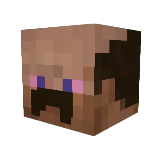 Tornado12874 Minecraft avatar head, 3D render