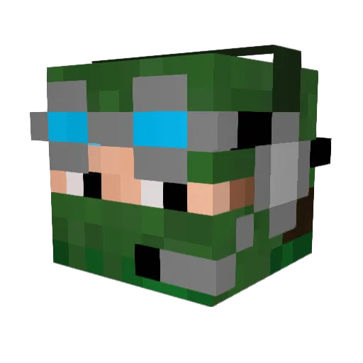 Tornado1314 Minecraft avatar head, 3D render