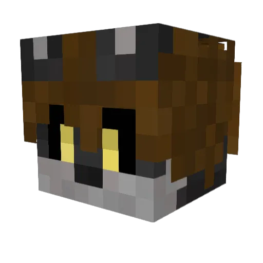 TornadoFox94 Minecraft avatar head, 3D render