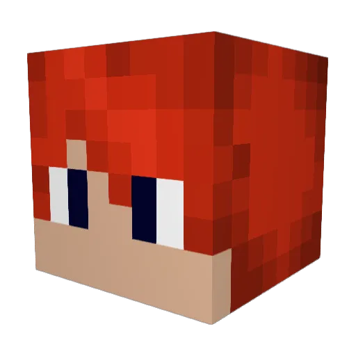 Tornadoe256 Minecraft avatar head, 3D render