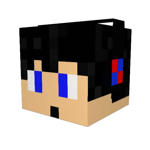 Tornadoslayer1 Minecraft avatar head, 3D render