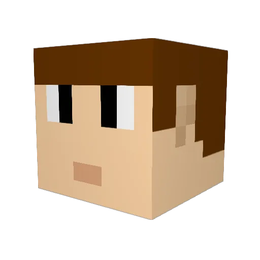 Tornan_Steel Minecraft avatar head, 3D render