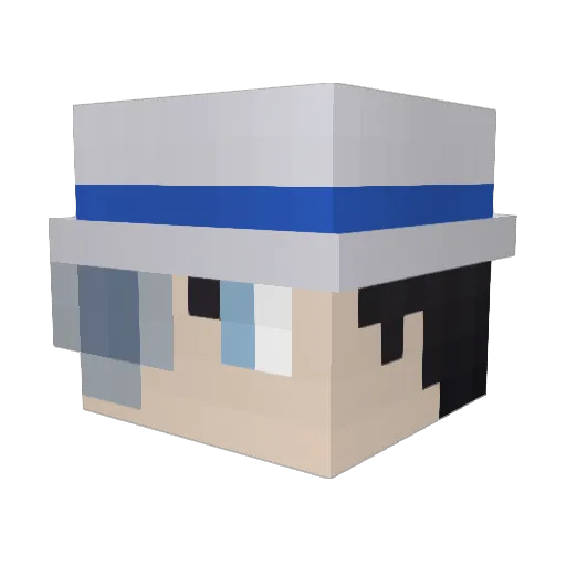 ToroFid Minecraft avatar head, 3D render