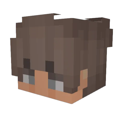 ToroLoco785 Minecraft avatar head, 3D render