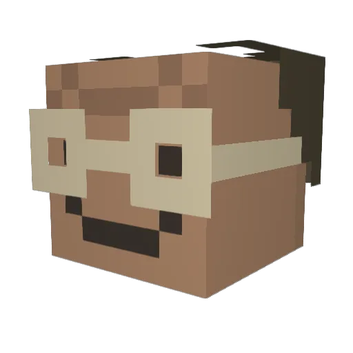 Toroid Minecraft avatar head, 3D render