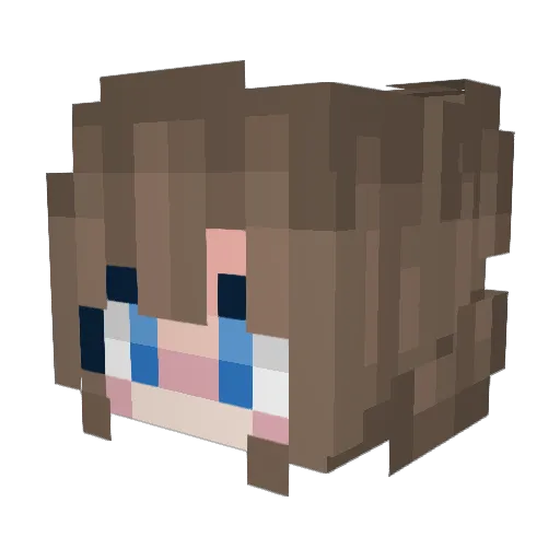 Toropica Minecraft avatar head, 3D render
