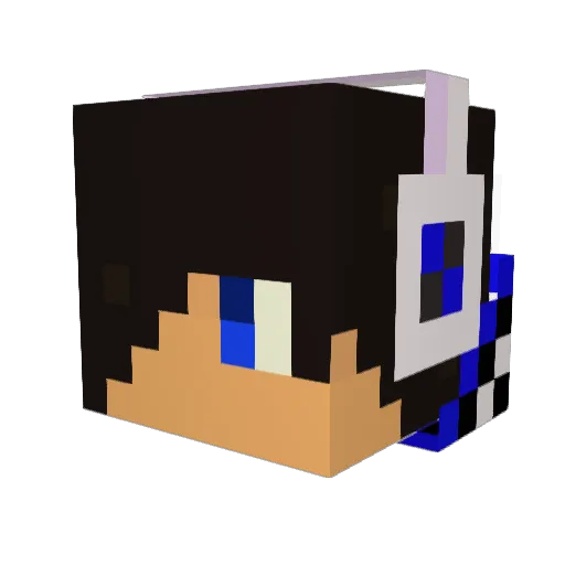 Tororo667 Minecraft avatar head, 3D render